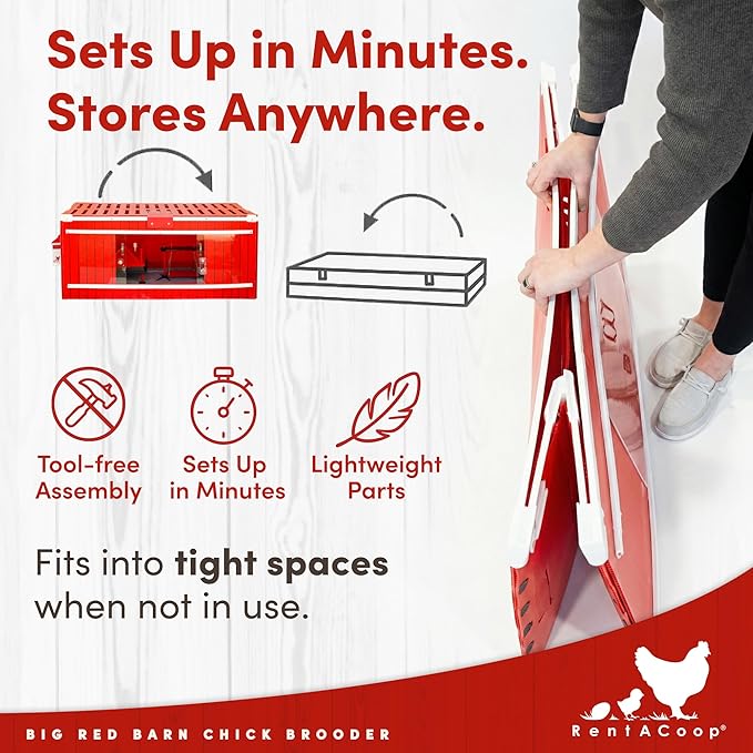 RentACoop Big Red Barn Chick Brooder | Durable, Lightweight, Easy-Clean, Multipurpose | with Absorbent Hatchling Liners, Jute Liners, LED Light, Security Latch