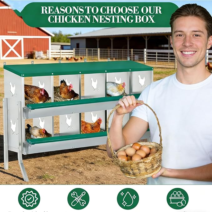Chicken Nesting Box 10 Compartment with Legs 10 Pet Moisture Pads and 4 Fake Eggs Roll Away Egg Collection, Perch, Lid Cover for Egg Protection - Wall Mount Nest Box for Chickens, Hens, Ducks