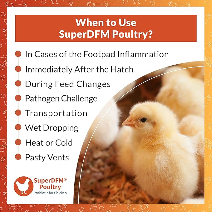 SuperDFM Poultry - All-Natural Probiotics for Chickens, Ducks, Quails & More - Poultry Supplements for Digestive & Immune Support - Makes 120 Gallons - 4.7oz (135g)