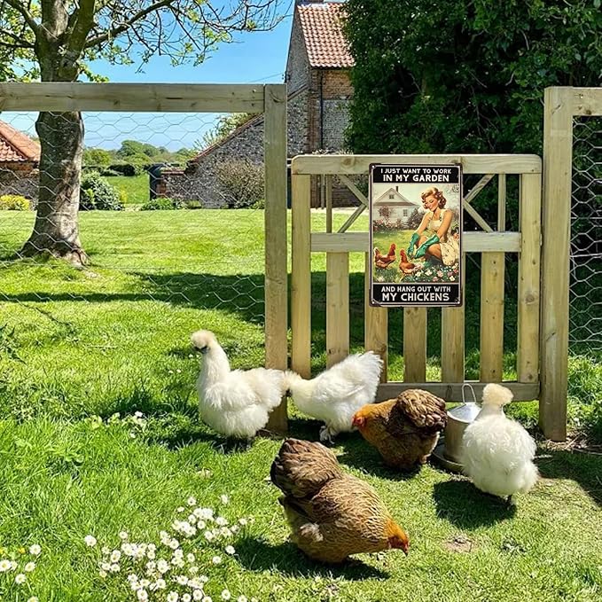Vintage Chicken Tin Signs I Just Want To Work In My Garden And Hang Out With My Chickens Metal Sign Wall Decor for Kitchen Home Garden Yard Fence 12×8 Inch