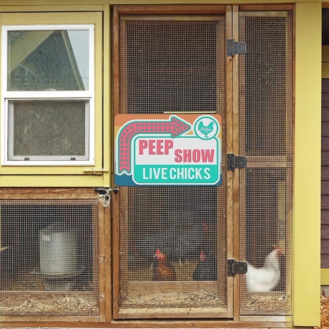 Chicken Coop Tin Sign for Home Farm Kitchen Outdoor Decor, Funny Chicken Saying, 12x8 Inch, 3 Styles (Color 1)