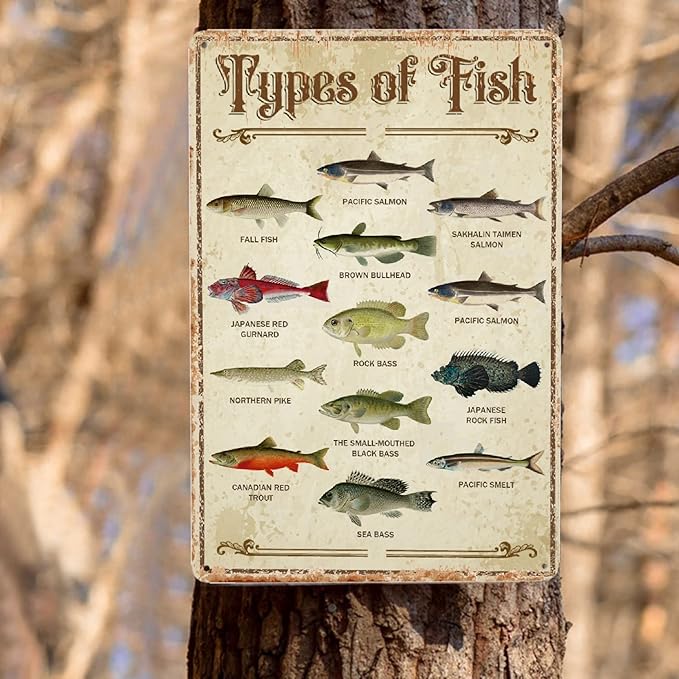 Fish Vintage Aluminum Sign Metal Types Of Fish Poster Wall Decor-Retro Fishing Decor Metal Tin Sign for Home Lake House Decor Bedroom Kitchen, Signs Gift,12''x 8''