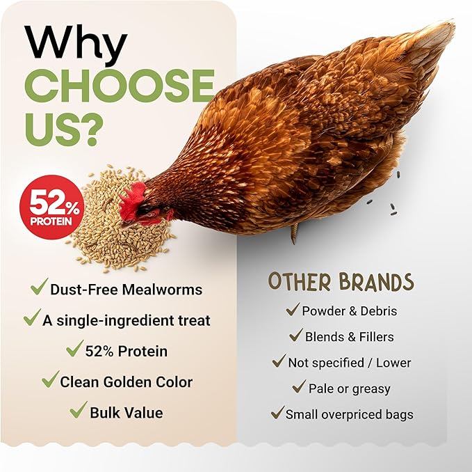 Dried Mealworms 100% Non-GMO 5 Lb - Mealworms for Birds, Chickens, Ducks - Perfect High-Protein Treats - Whole Large Meal Worms, Dried for Chickens and Bluebird Food Bulk
