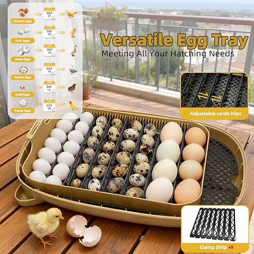 24 Incubators for Hatching Eggs, Egg Incubator with Humidity Control & Digital Temperature, Automatic Egg Turner, Hatch Day, Auto Water Refill, 360°Viewing for Chicken, Duck, Quail, Duck, Goose