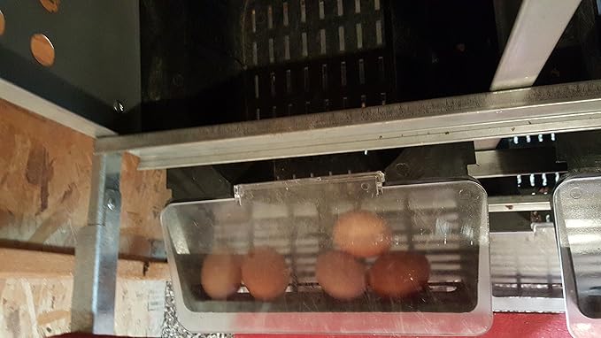Duncan's Rollaway Nesting Boxes - 4 Hole Metal Poultry Nest Box for Chickens, Hens, Ducks - Large Rollout Egg Laying Boxes - Rust Proofed Construction with Large Vented Holes