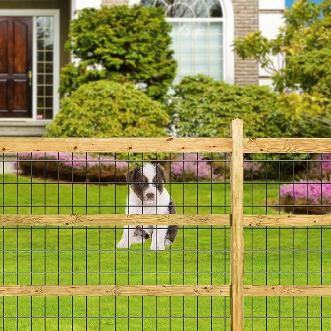 AMAGABELI GARDEN & HOME Black PVC Coated Welded Wire Fence 2inchx3inch 36inchx25ft 16Gauge Garden Border Fencing Roll Vinyl Coating Metal Wire Mesh Garden Bed Plant Supports Poultry Netting Cage