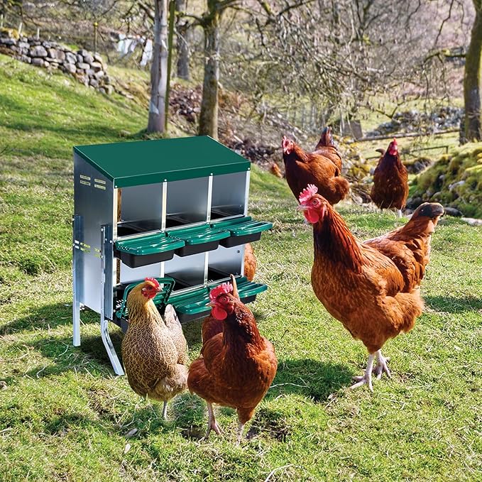 6 Compartment Metal Chicken Nesting Box, Automatic Roll-Out Egg Collection, Waterproof Galvanized Steel Laying Box with Perch & Wall Mount, for Hens Ducks Rabbits, Green