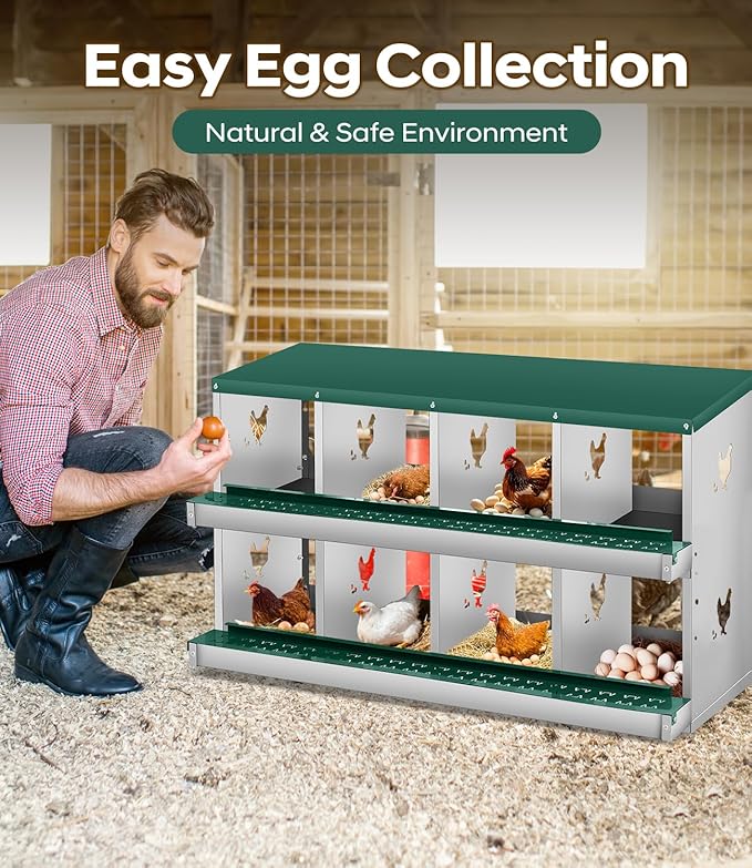 Chicken Nesting Box for Laying Eggs, 6 Compartment Metal Nesting Box,Wall Mount Chicken Nesting Boxes,Easy Egg Collection,Laying Boxes for Chickens Coop to Protect Eggs (Green, 8 Compartment)
