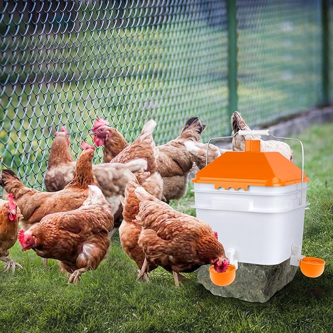Chicken Waterer with 4 Water Cups,2 Gallons Watering Bucket with Automatic Chicken Waterers, Hanging Chicken Waterer Suitable for Chicken, Ducks, Pigeons and Quails(Orange)