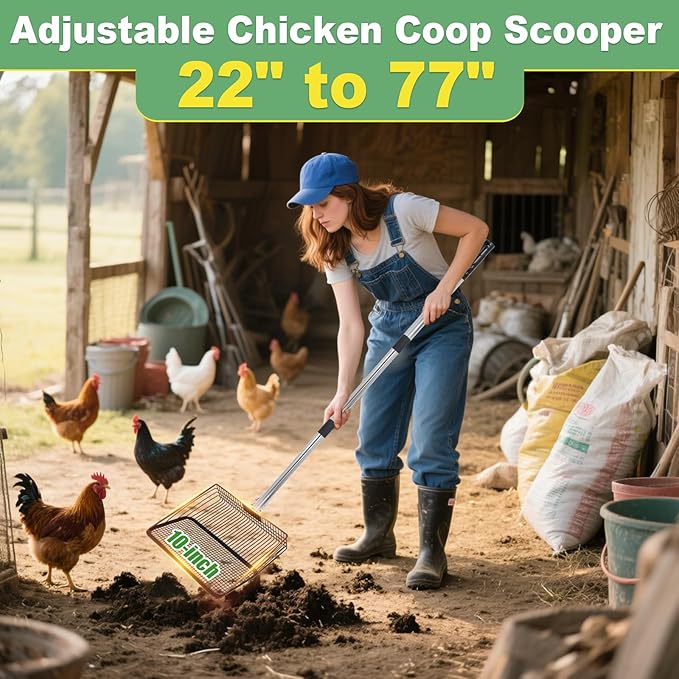 Chicken Poop Scooper, 5-in-1 Large Adjustable Stainless Steel Long Handle, 10-inch Metal Chicken Coop Scooper, 22" to 77" Removable Heavy Duty Coop Scoop Cleaning Supplies for Chicken Coops