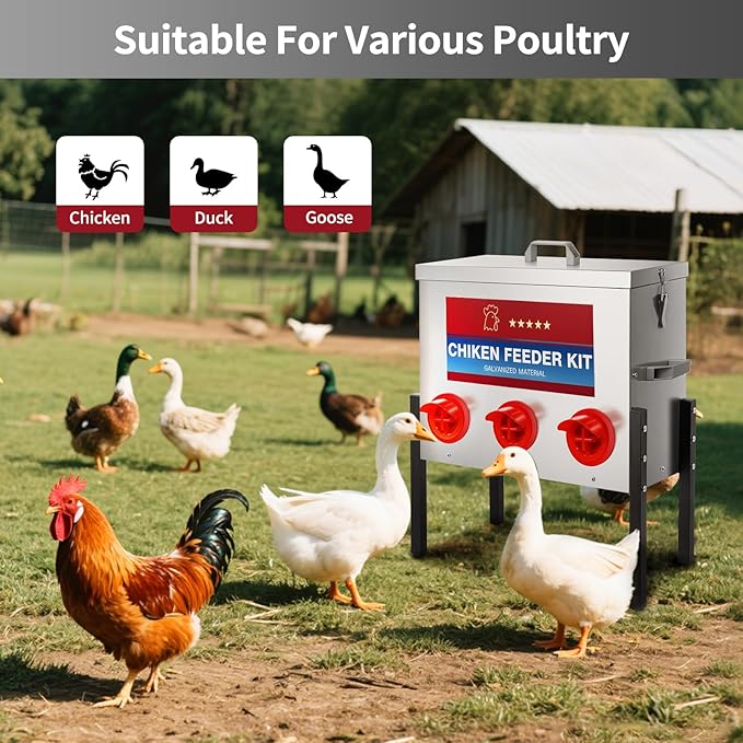RYFT Chicken Feeder Box 30 Lbs-6 Feeding Port, Galvanized Metal No - Waste Poultry Feeder with Adjustable Legs & Locking Lid