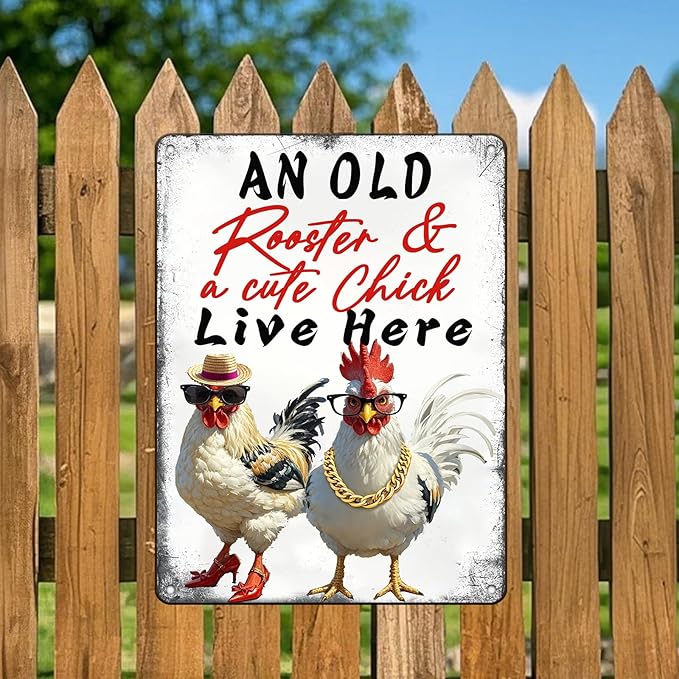 Rooster Wall Decor Chicken Signs Chicken Coop Accessories Metal Tin Sign Vintage Style An Old Rooster And A Cute Chick Live Here Iron Poster 12x16 Inch