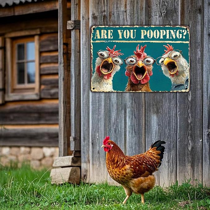 Funny Bathroom Chicken Signs Vintage Are You Pooping Chicken Metal Tin Signs Home Decor Toilet Wall Decor Art Humorous Bathroom Poster 12x16 Inch