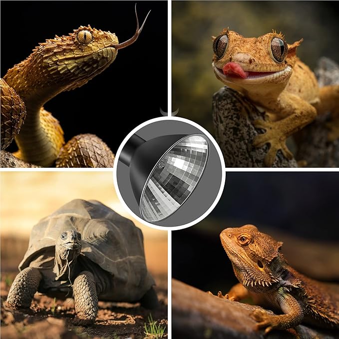 Briignite Reptile Heat Lamp Red, 50W G9 Heat Bulb & Dome Reptile Light Fixture, Aluminum Reflector, Dimmable Heat Lamp for Chicken, Turtle, Snake, Gecko, Lizard, 1 Pack