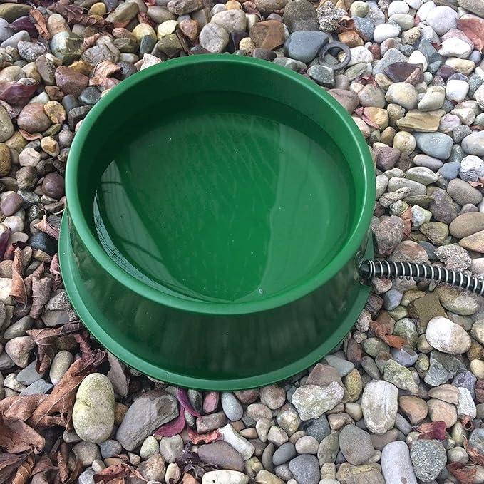 Farm Innovators QT-1 1 Quart Electric Heated Pet Water Bowl with Thermostatic Control and Anti Chew Cord Protector, 25 Watt, Green (3 Pack)