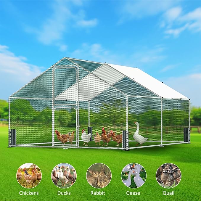 Large Metal Chicken Coop, Walk-in Chicken Run with Feeding Door, Security Lock and Cover, Outdoor Duck/Rabbit Cage Poultry Pen for Backyard, Farm, Yard (Silver - Spire Roof, 13.1 x 9.8 x 6.5 FT)