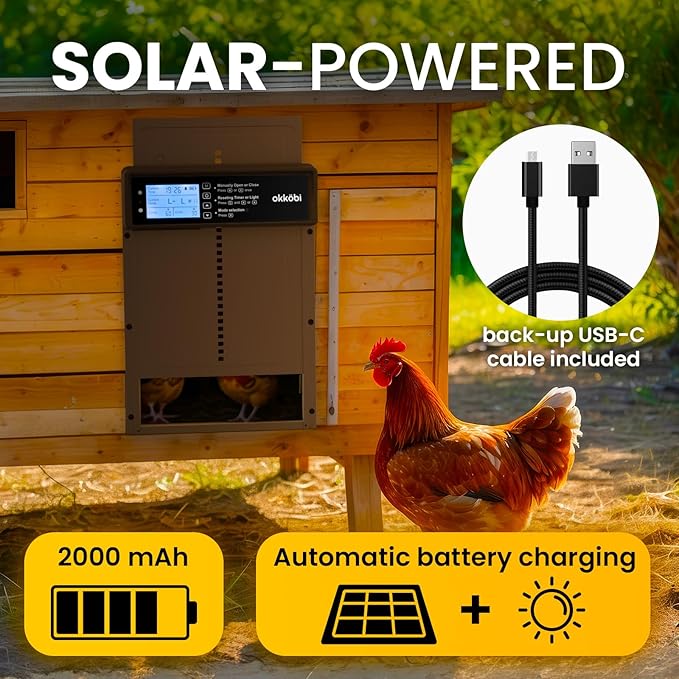 Okkobi Automatic Chicken Coop Door Solar Powered - LCD Display - Light Sensor & Timer - Security & Peace of Mind: Anti-Pinch Function - 5-Year Protection - Dark Brown