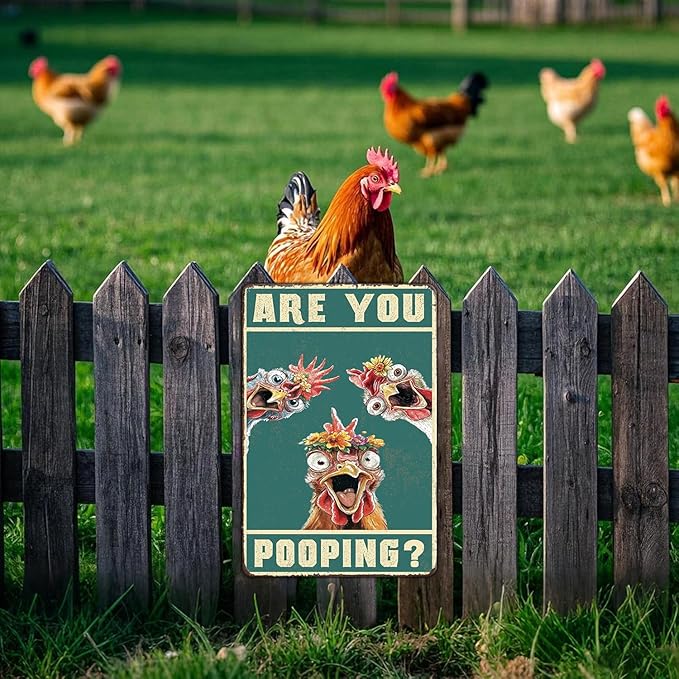 Vintage Are You Pooping Chicken Metal Sign Funny Chicken Coop Farm Metal Poster Home Kitchen Bathroom Garden Toilet Tin Sign Wall Decor 12x16 Inch