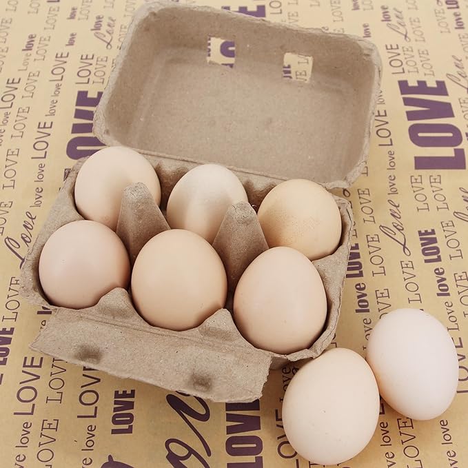 20 Pack Egg Cartons Cheap Bulk, 6 Count Egg Storage Containers Holder, Sturdy Natural Pulp Material Perfect for Storing Extra Eggs，Blank Natural Pulp Carton for Chicken Eggs Reusable