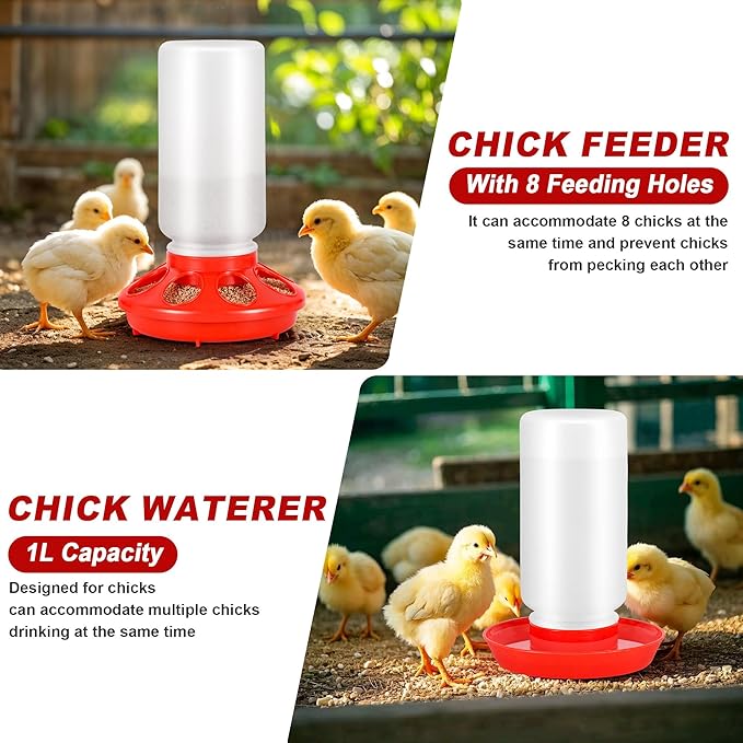 Chicken Brooder Box for Chicks, Brooder Box with Feeder and Waterer, Chick Starter Kit with Chick Perch for Small Poultry Ducks Quail