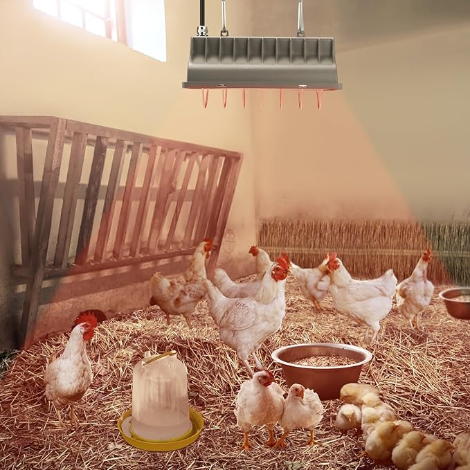 Chicken Coop Heat Lamp for Dog Kennel, Cat Bed, Reptiles & Incubators - 250W Adjustable Heat Lamp with 2 Heat Settings for Poultry, Livestock, and Pets