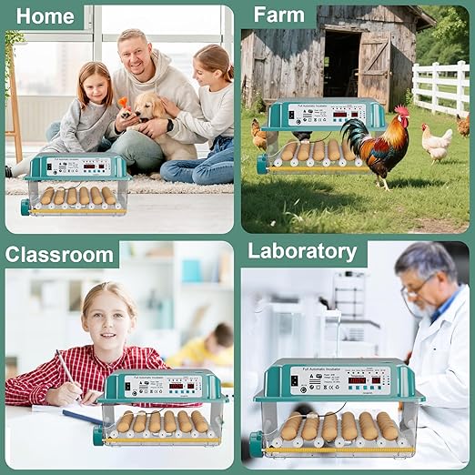 36 Eggs Incubators for Hatching Eggs,Egg Incubator with 4 Automatic Incubate Mode,Chicken Incubator with Automatic Egg Turning Humidity Monitoring,Poultry Egg Incubator with Egg Candle