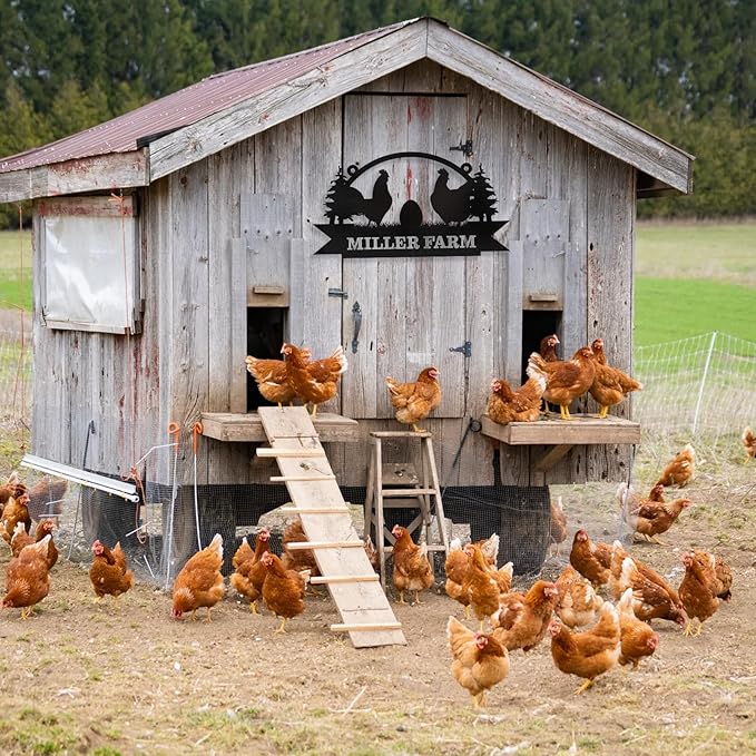 Personalized Chicken Coop Signs, Metal Funny Farm Decor, Chicken Coop Accessories, Metal Outdoor Wall Art, Custom Hen House Sign, Rustic Farmhouse Wall Decor for Farm Yard Garden Color04