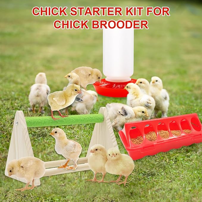 Chick Feeder and Waterer Kit with Chick Perch, 1l Chick Waterer, Flip Top Poultry Feeder, Chick Starter Kit for Chick Brooder, Baby Chicken Supplies for Baby Chick, Duck and Quail