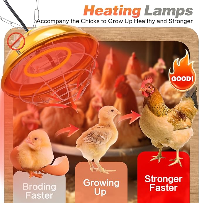300W Heat Lamp for Chickens Coop, Waterproof Chicken Coop Heater Lamp, Adjust 2 Mode Temperature&Hanging Height for Indoor Outdoor Suitable for Chick, Duck, Rabbit and Dog