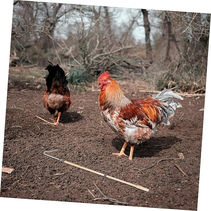 Heavy Duty Chicken Picker Hook Pole Durable Poultry Catching Tool for Efficient Handling of Chickens Ducks and Geese Farms Versatile Design for Easy Use Chicken