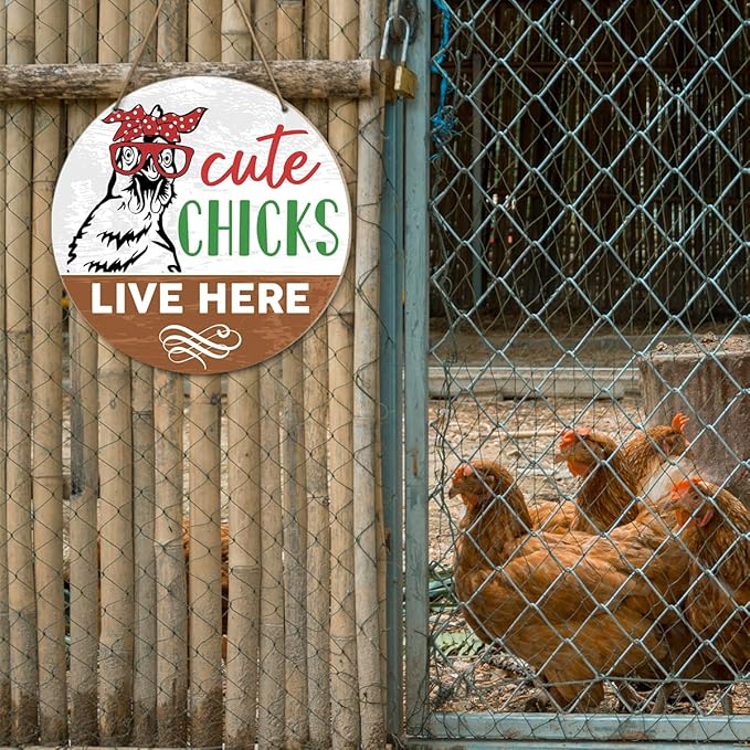 Chicken Coop Sign Wall Decor, Chicken Coop Decoration for Chicken Farm Coop Hen House Hanging Sign Decor, Gift for Chicken Farmer Owners, Cute Chicks Live Here
