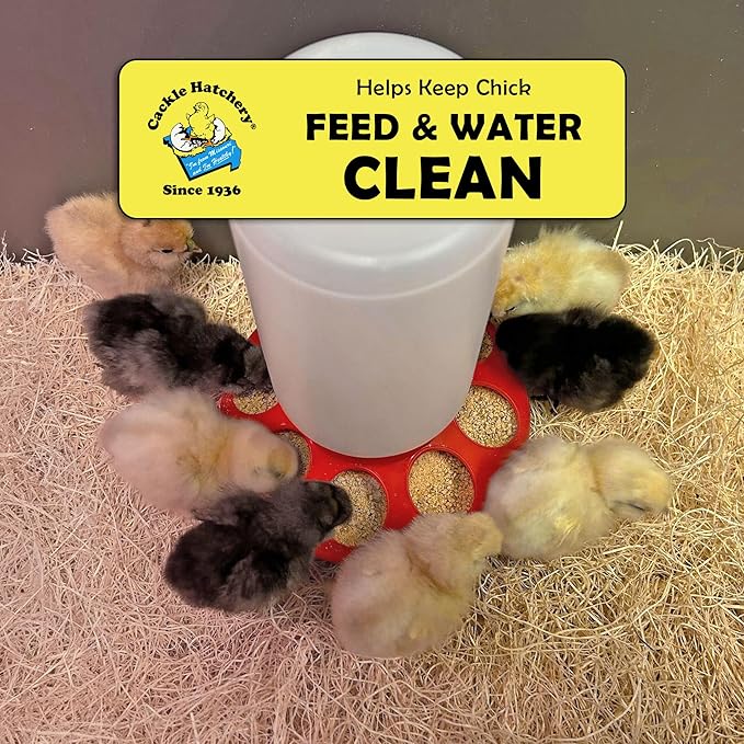 Cackle Hatchery Excelsior Brooder Pads for Chicks (25 Pack) - 9"x12" Aspen Excelsior Pads for Lining Chick Brooders