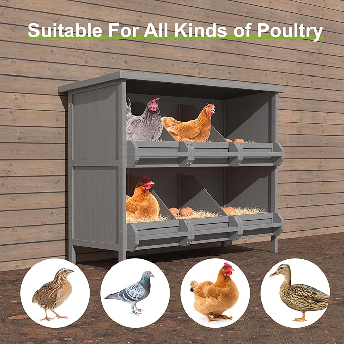 2-Tier Nesting Boxes for Chickens, 6-Compartment, Wooden Chicken Nesting Box for Poultry, Chicken Laying Boxes with Perch, Solid Wood Egg Laying Box for Hens (Pack of 2)