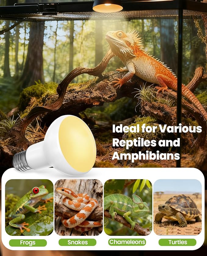 KINDEEP Reptile Basking Light Bulb: 100W Reptile Heat Lamp 2 Pack UVA Daylight Basking Bulb for Amphibian Bearded Dragon Lizard Tortoise Turtle Snake Chicken Pets Heating
