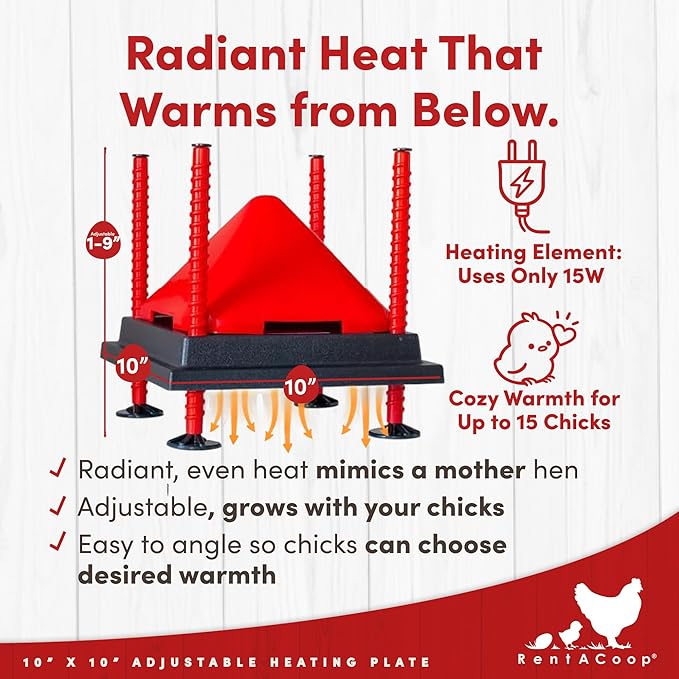 RentACoop 10x10” Heating Plate with Hard Anti-Roost Cone Set and Removable Comfort Feathers – Chick Brooder Heat Plate Warms Up to 15 Chicks – Energy Efficient - Safer Than Heat Lamps