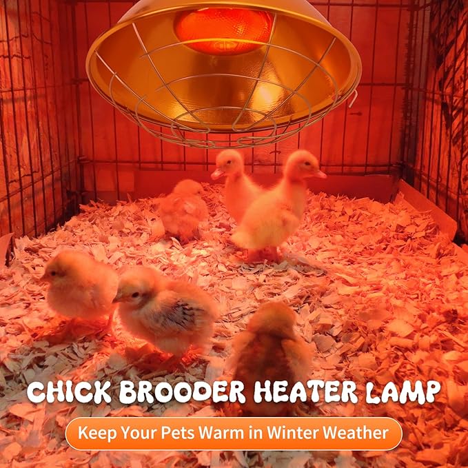 Large Chicken Coop Heat Lamp with 250w Infrared Heat Bulb, Adjust 2 Mode Temperature&Hanging Height,with Aluminum Reflector for Coop Brooder,Cat,Puppy,Lamb