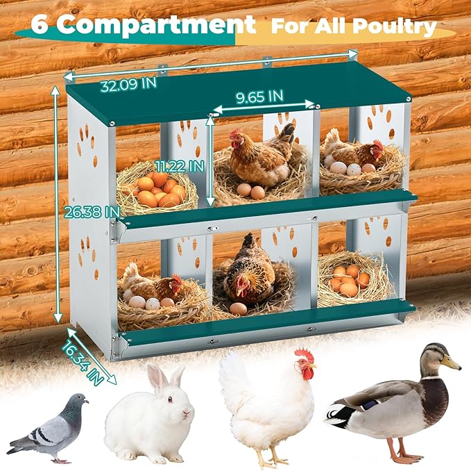 Chicken Nesting Box for Laying Eggs, Metal Chicken Laying Boxes Wall Mountable, Easy Egg Collection Roll Away Nesting Boxes, Chicken Coop Nesting Boxes for Hens, 6 Compartments