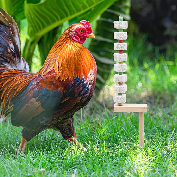 Oooct 2 Pack Chicken Chewing Toy, Chick Beak Grinding Calcium Stone with Wood Stake, Chicken Cage Accessories, Cage Toys for Cockatiel Parakeet Parrot Budgies Rat Hamster Rabbit Bunny African Grey