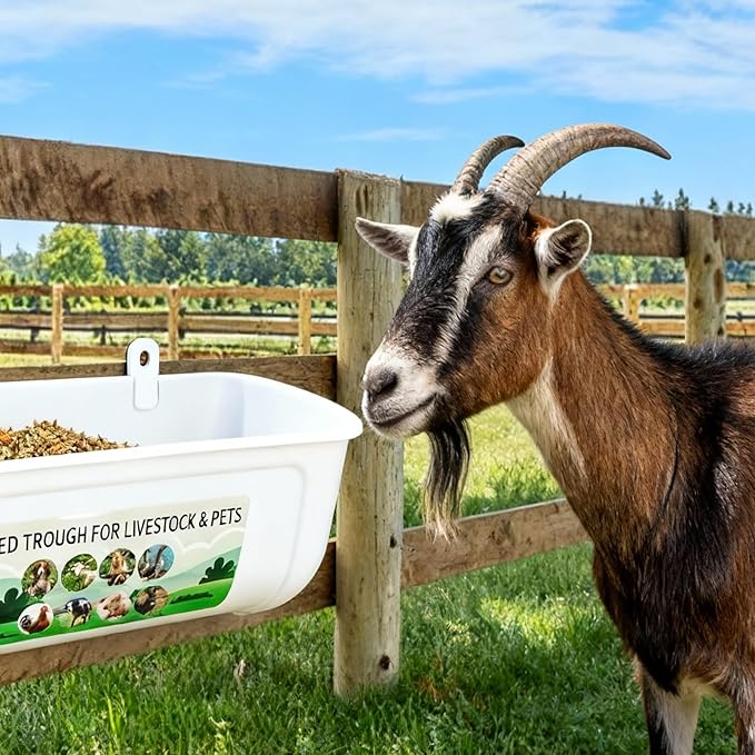6 Pack Goat Feeder Hanging 3.5 Quart Chicken Waterer Feeder Trough, Fence Feeders with Clips for Poultry Livestock, White