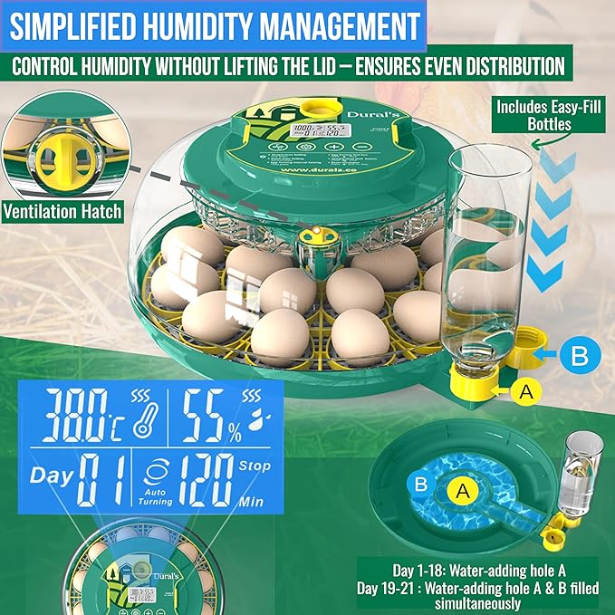 Dural's DX5® | Professional 18 Egg Incubator with Automatic Turning & Humidity Control | FCC Certified Egg Incubator | for Chicken, Quail, Duck Eggs | Precise Temperature | Easy to Clean (18 Eggs)
