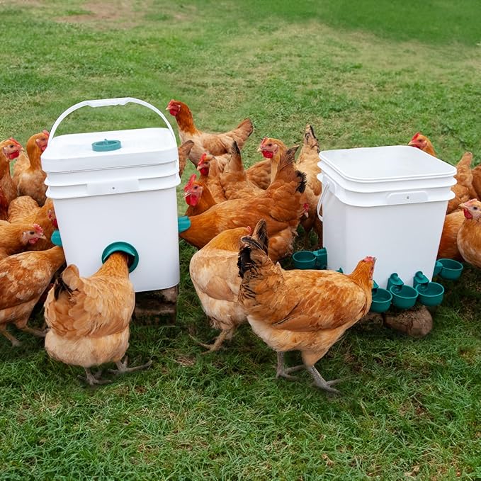 Chicken Feeder No Waste Automatic Poultry Feeder Port Kit Chicken Feeders and Waterer Set 6 Chicken Feeders Ports with 6 Chicken Water Cups