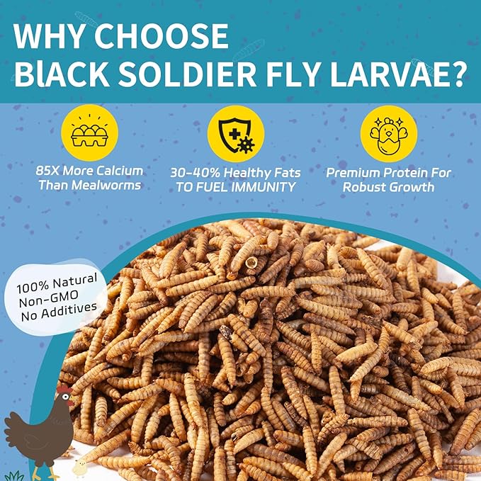 10LB Dried Black Soldier Fly Larvae for Chickens - 85X More Calcium Than Mealworms for Strong Eggshells, High-Protein Chickens Treats for Laying hens, Birds, Ducks
