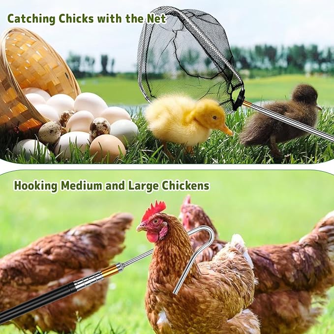 Adjustable Chicken Catching Net with Leg Hook – Stainless Steel Poultry Net, Fishnet,Suitable for Catching Outdoor Animals Such as Chickens, Ducks, Fishnet,Geese,Birds (2 Nets, 2 Pole Included)