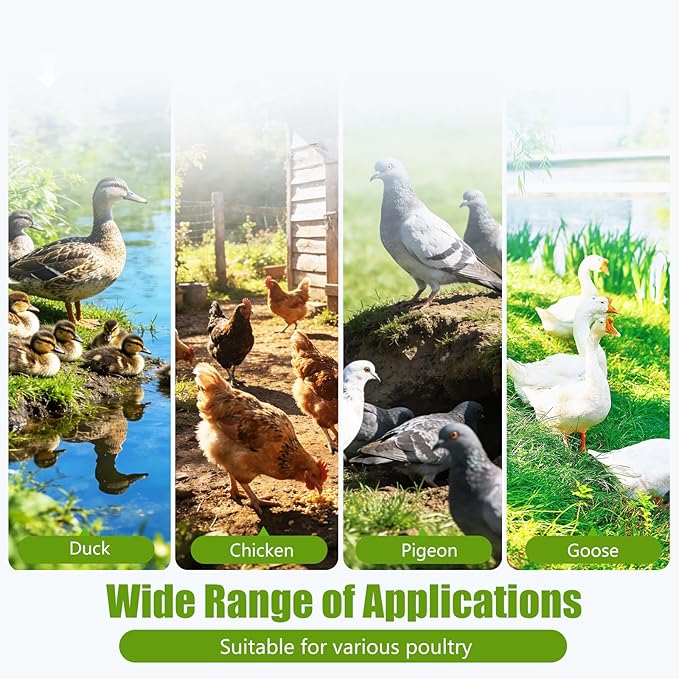 Automatic Chicken Waterer Stainless Steel Poultry Fountains Chicken Waterer System Water Dispenser Waterer Float Controlled for Duck Goose Pigeon Quail