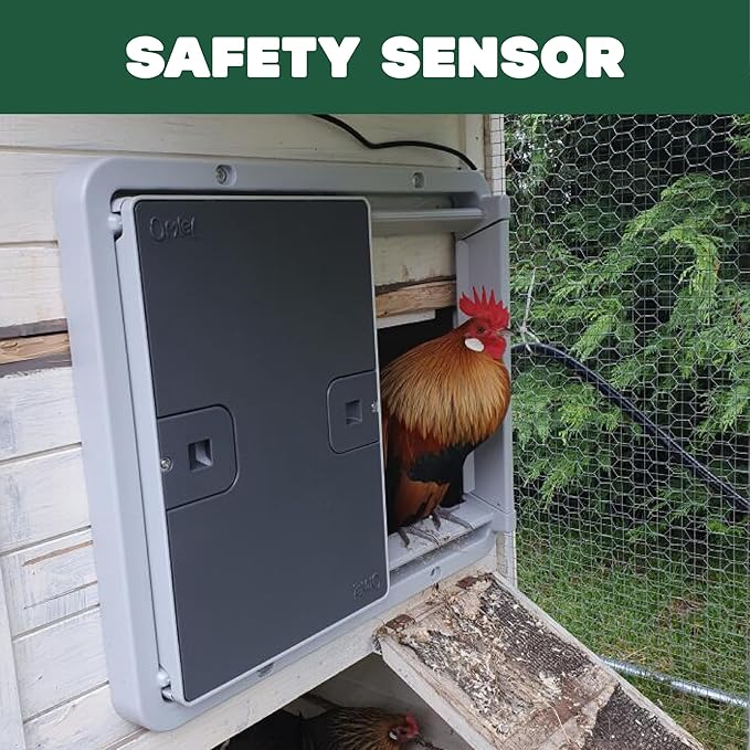 Omlet Automatic Chicken Coop Door Opener | Operated by Light Sensor or Timer | Easy to Install, No Maintenance Required | Improves Coop Security and Insulation | Built-in Safety Sensors | Grey
