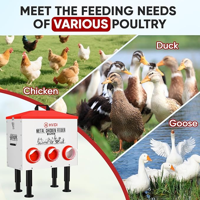 HVDI 30lbs - 40lbs Large Automatic Chicken Feeder, Adjustable Stand, 6 Feeding Ports, Sloped Roof Rainproof Design Poultry Feeder (Small)