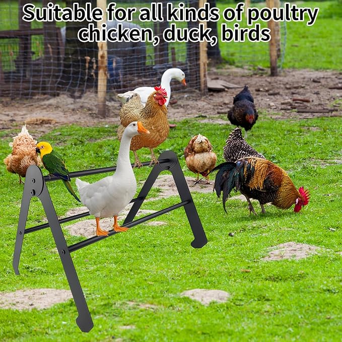 Chicken Perch Roosting Bars for Coop, Adjustable Farm Chicken Perches for Coop, Metal Roost Ladder, Chick Roosting Bars for Brooder, Baby Chicken Toys for Hens Birds, Black