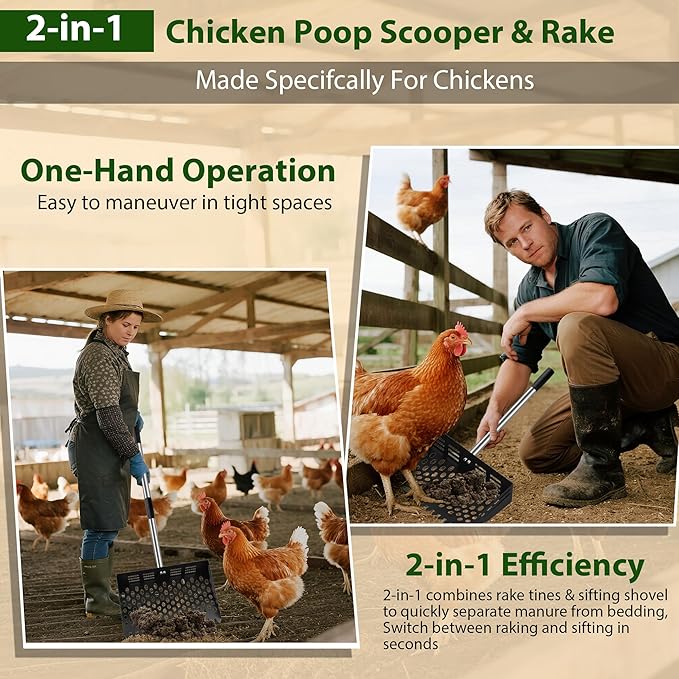 2 in 1 Chicken Poop Scooper & Rake, 12" Chicken Coop Scooper With Ergonomic Grip, Durable Chicken Scooper for Poop With 4 Length Adjustable Stainless Steel Handle(24 to 67") Litter Sifting Shovel