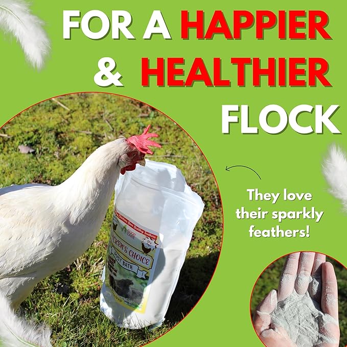 Chicken's Choice Chicken Dust Bath, 6 lb Natural Volcanic Ash Dust Bath for Chickens. Dust Mix for Healthy Chickens, Chinchillas, Small Animals. Made in The USA. Coop Accessories
