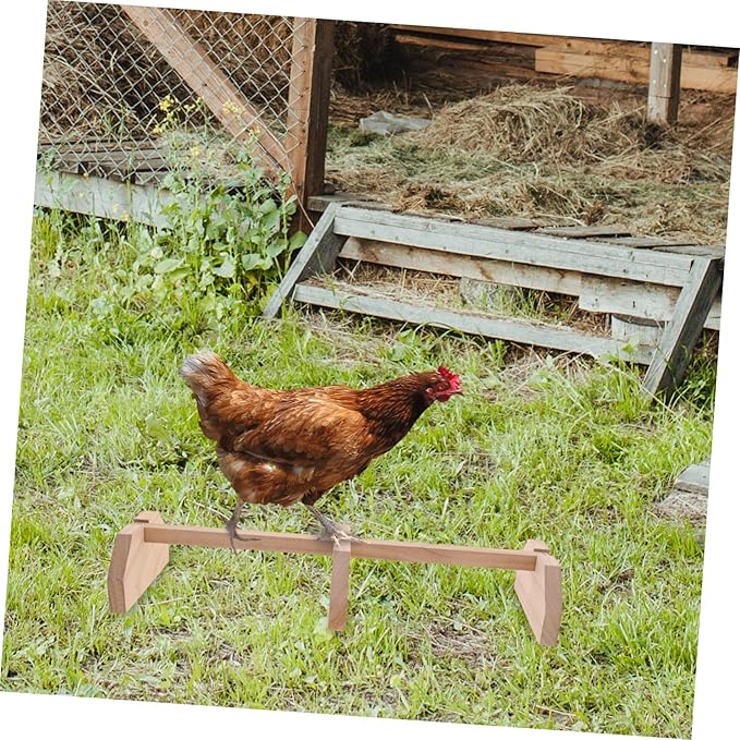 BESPORTBLE Wooden Chicken Perch Chick Roosting Bars for Chicks Pet Supplies Multi-Functional Hen Stand